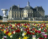 Vicomte_15_Parterre tulipes Julien Valle